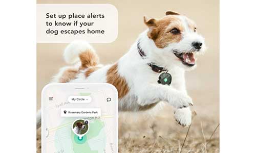 small gps tracker pet tracking