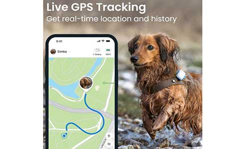 tractive dog gps tracker